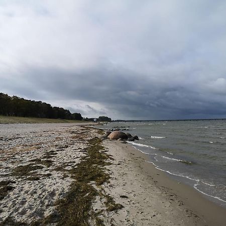 Ferienwohnungen "Weitblick" Und "Schwalbennest" Lodmannshagen Стая снимка