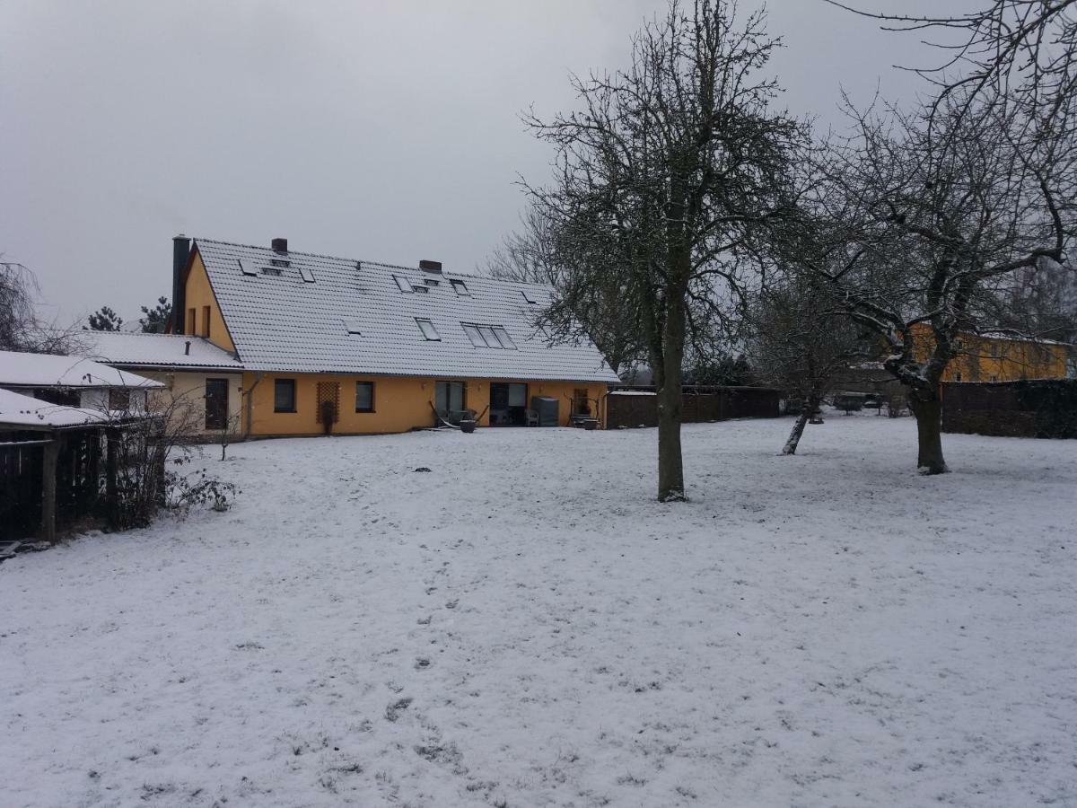 Ferienwohnungen "Weitblick" Und "Schwalbennest" Lodmannshagen Екстериор снимка