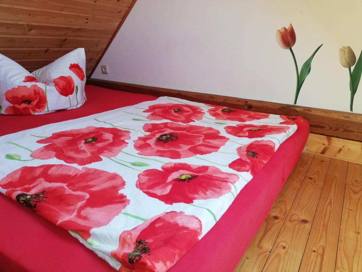 Ferienwohnungen "Weitblick" Und "Schwalbennest" Lodmannshagen Екстериор снимка